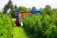 Комбайн для збирання малини і чорниці WEREMCZUK KAREN