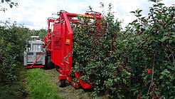 Комбайн для збирання вишень і слив WEREMCZUK FELIX Z