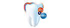 Elmex Peuter Lasten Hammastahna Зубна паста з фтором для молочних зубів 0-5 років з фтором, 75 мл, Нідерланди, фото 3
