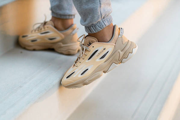 Adidas Ozweego Celox GZ7280 shoezone 1392934902