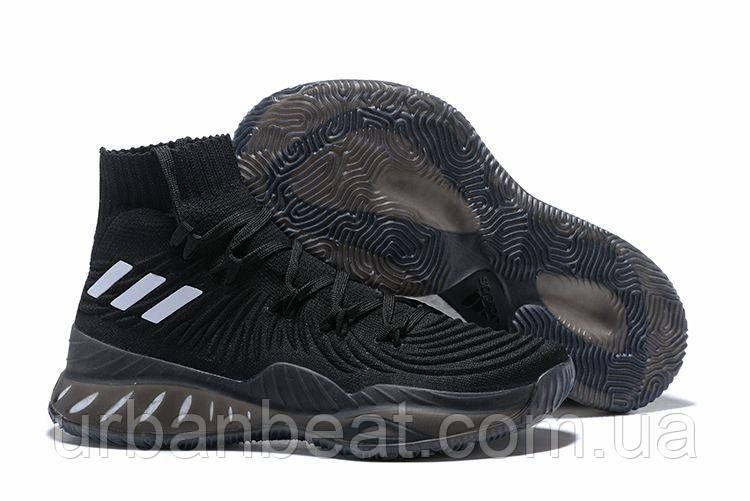 Чоловічі баскетбольні кросівки Adidas Crazy Explosive 2017 Black/White