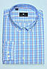 Сорочка чоловіча, класична з довгим рукавом, голуба клітинка з кишенею, фото 2