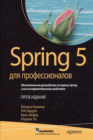 Spring 5 для професіоналів Юліана Козмина, фото 2