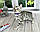 Хлопчик бенгал, ін. 06.11.2020. Бенгальські кошенята з розплідника Royal Cats. Україна, Київ, фото 2