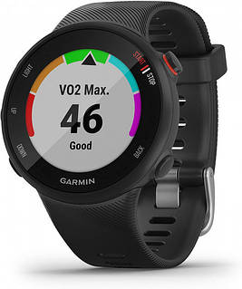 Спортивний годинник Garmin Forerunner 45s Black (010-02156-12)