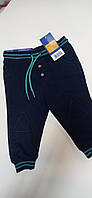 Дитячі спортивні штани джогери 62-68 Lupilu