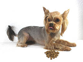 Корм для собак Хіллс Hills Science plan