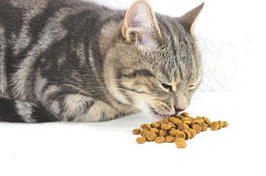 Корм для кішок Хіллс Hills Science plan