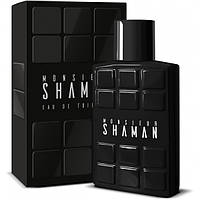 Corania Parfums Shaman Monsieur 100мл т/в мужская