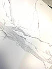 Avenzo Silver F P 600x1200x8 R Satin 1, фото 5