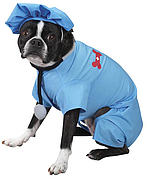 Догляд за тваринами