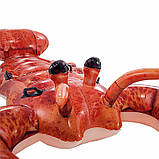 ✅ Надувний пліт Лобстер INTEX 57533, фото 4