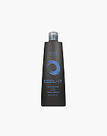 Шампунь з прямими пігментами синьо-фіолетовий BES Color Reflection Cool It shampoo 300 мл