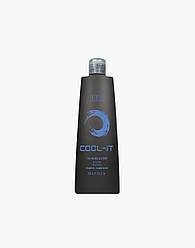 Шампунь з прямими пігментами синьо-фіолетовий BES Color Reflection Cool It shampoo 300 мл