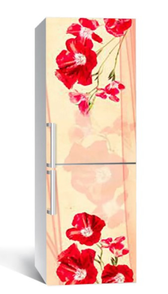 65х200 см Вінілова плівка на холодильник, декоративні наклейки на холодильник, наліпки на холодильник 104-NNH, фото 1