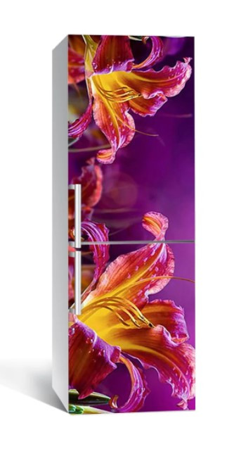 Вінілова плівка на холодильник самоклейка 161-NNH 60x180 см, інтер'єрні наліпки для холодильника на кухню, фото 1