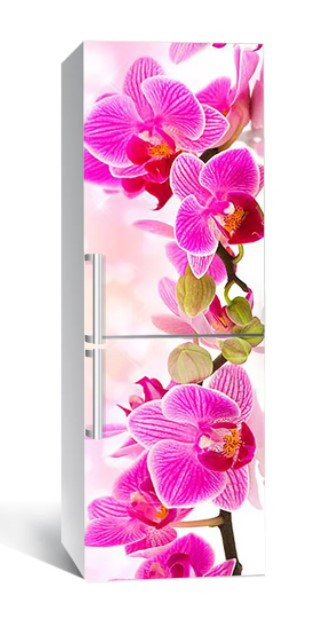 Вінілова плівка на холодильник самоклейка 162-NNH 60x180 см, інтер'єрні наліпки для холодильника на кухню, фото 1