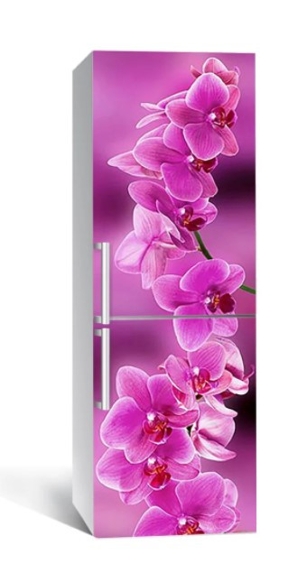 65х200 см Вінілова плівка на холодильник, декоративні наклейки на холодильник, наліпки на холодильник 168-NNH, фото 1