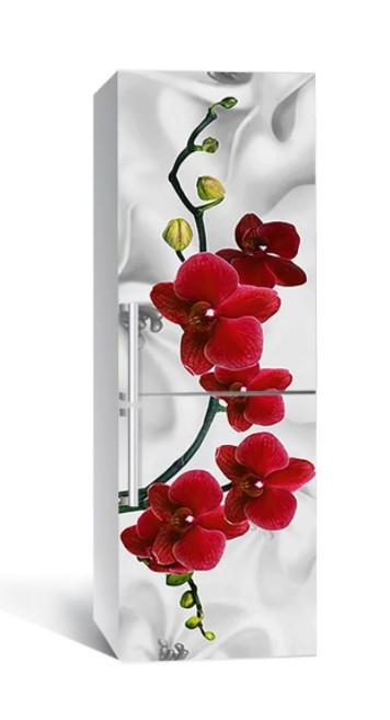 65х200 см Вінілова плівка на холодильник, декоративні наклейки на холодильник, наліпки на холодильник 175-NNH, фото 1