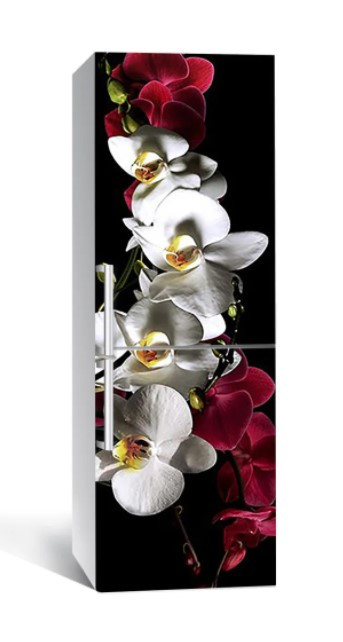 65х200 см Вінілова плівка на холодильник, декоративні наклейки на холодильник, наліпки на холодильник 177-NNH, фото 1