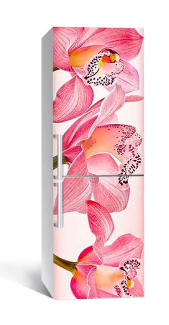 Вінілова наклейка на холодильник самоклейка 180-NNH 60x180 см, наліпки для холодильника, фото 1