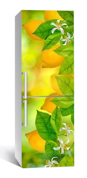 65х200 см Плівка самоклеюча для холодильника, декор холодильника, шпалери для холодильника 199-NNH, фото 1