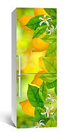 65х200 см Виниловая наклейка на холодильник, декоративные наклейки на холодильник, оклейка кухни Лимоны