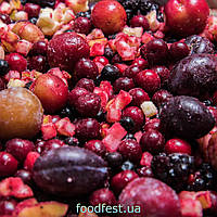 Компотна суміш заморожена (фасування від 2,5 кг)