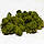Стабілізований мох Green Ecco Moss скандинавський лишайник ягель Medium 1 кг, фото 2