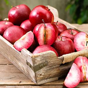 Саджанці Яблуні Ера - зимова, красном'яса, зимостійка, фото 1