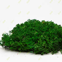 Стабилизированный мох Green Ecco Moss ягель украинский темно-зеленый 4 кг