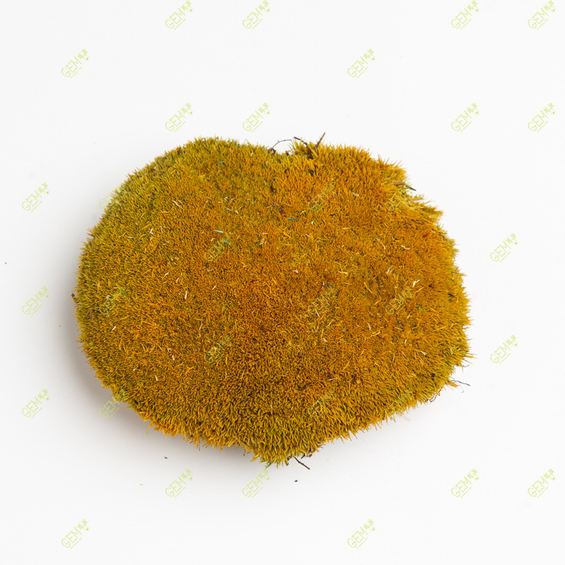 Стабілізований мох Green Ecco Moss купина жовта 0,5 кг