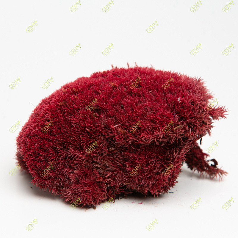 Стабілізований мох Green Ecco Moss купина червона 4 кг.