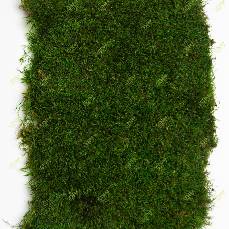 Стабілізований мох Green Ecco Moss плоский 0.5 кв. м
