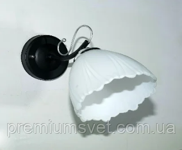 2953/1W ВА, фото 1