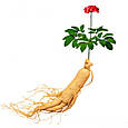 Сибірський женьшень (Елеутерокок колючий) корінь різаний сушений 5 кг, PL, фото 3