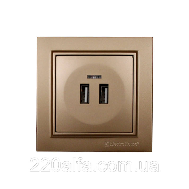 Розетка USB (2 порти) 2 A Enzo Розкішно-золотий, фото 1