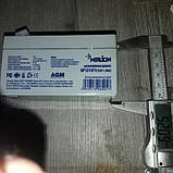 Акумулятор для акумуляторного обприскувача 10 літрів Merlion GP1213F1, фото 3