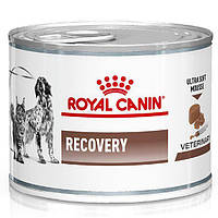 Вологий корм для кішок і собак в період відновлення після хвороби Royal Canin Recovery Canine Feline 195 г