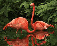 Картины по номерам "Пара фламинго" 40*50см