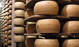 Сир Parmigiano Reggiano DOP витримка 30 місяців 235 грам Італія, фото 5