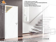 Двері Омис Cortex Геометрія 01, фото 2
