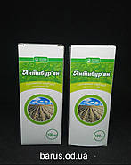 Гербіцид — суцільна дія Антибурян 100 мл, фото 2