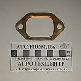 Прокладка колектора впускного Д-144, Д-21 Д37М-1008070Б, фото 2