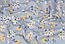 Сатин "Жовто-білі квіти" на сірому №3439с, фото 4