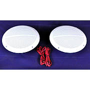 Пара морських динаміків 120 Вт DBS6010W білі