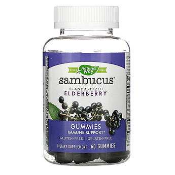 Nature's Way, Sambucus, Чорна бузина, з Цинком і Вітаміном С, 60 жувальних таблеток