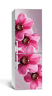 Пленка самоклеющаяся для холодильника Крупные розовые орхидеи 65х200 см, обои для холодильника