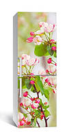 Пленка для холодильника виниловая в интерьер Розовые цветы вишни 65х200 см, пленка для оклейки кухни