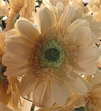 Штучний квітка гербера Jolipa